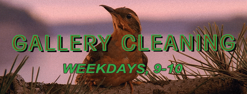 Gallery-Cleaning.gif