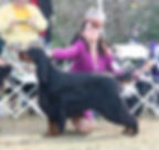 10665298_10101799622494083_8874584679647775499_n