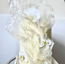 Registry Cake.HEIC