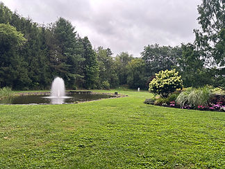 IMG_0158.jpg