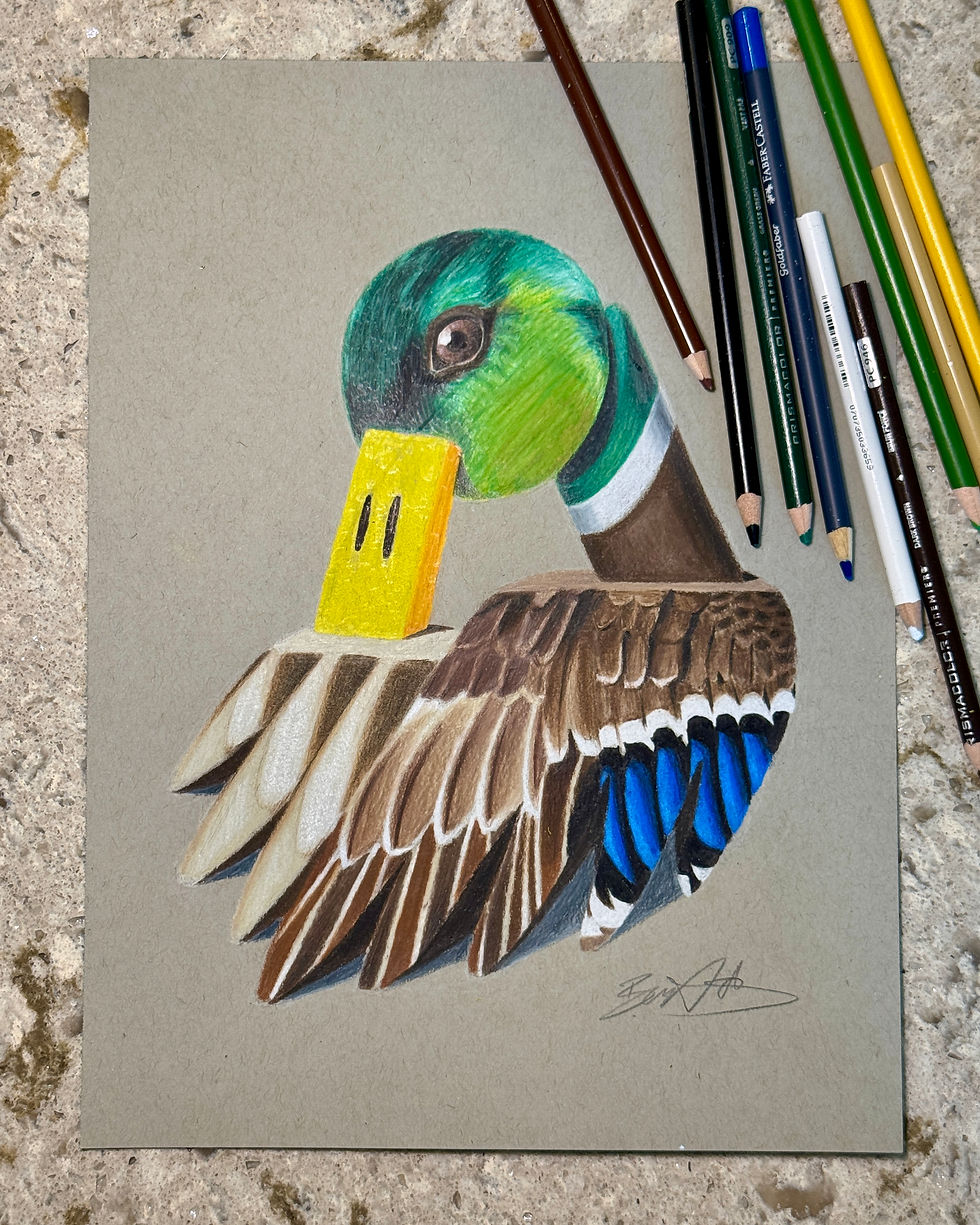 Day 38 - Mallard