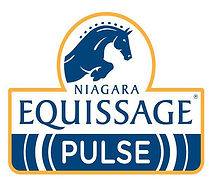 Equissage