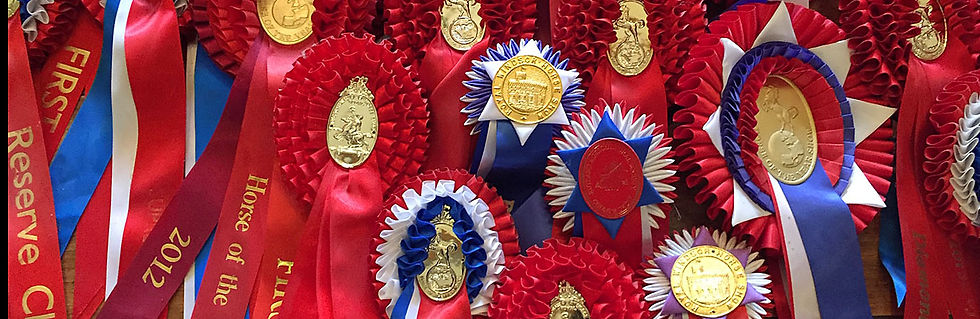 Rosettes.jpg