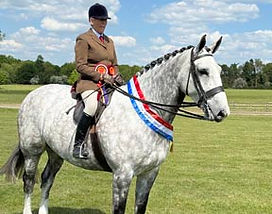 Katie Jerram Goosey Gander-2a.jpg
