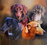 Dogs 2_edited.jpg