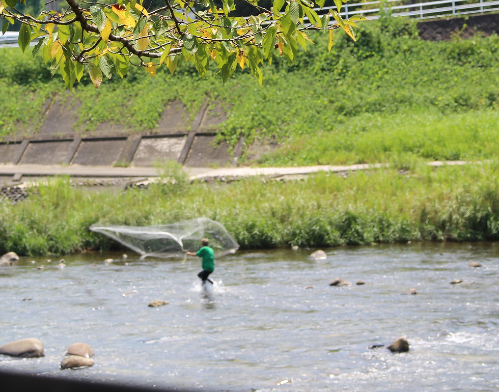 8月17日（日）正午から投網解禁