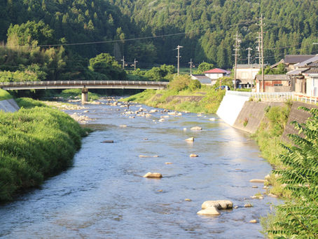 土岐川アユ友解禁
