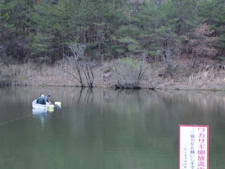 ワカサギ釣りのシーズン始まります。