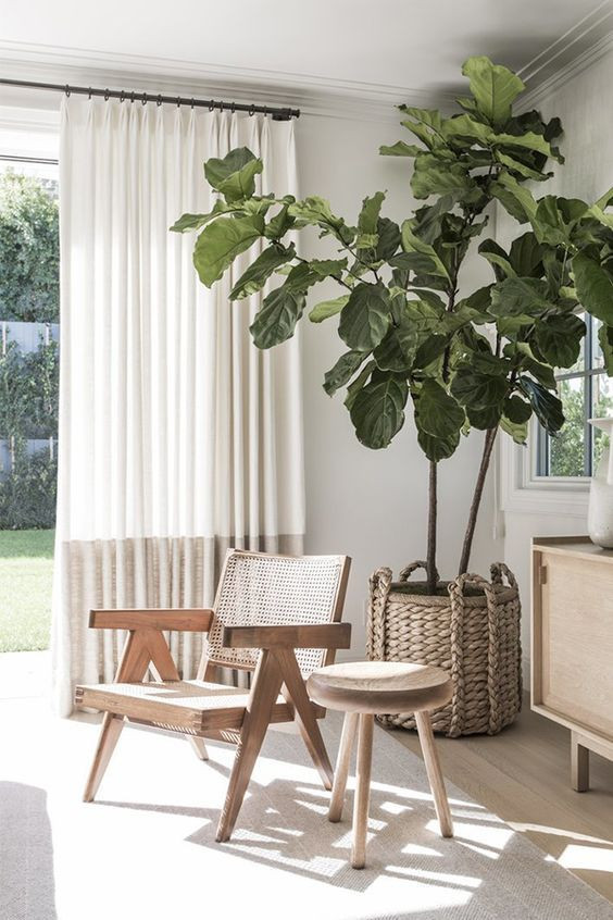 Houseplant Home Interiors Design Biophilia Sustainable Eco-friendly London Plants