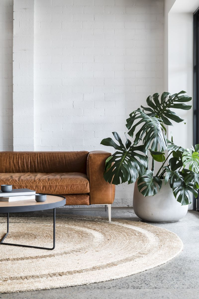 Houseplant Home Interiors Design Biophilia Sustainable Eco-friendly London Plants