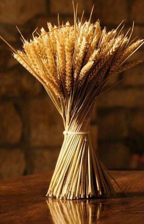 God's appointed times.
Firstfruits.