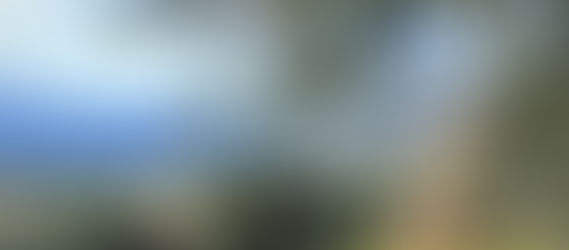 Because Man Is A Tree of the Field