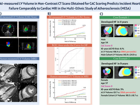 AI-Powered CT Chamber Volumetry Predicts Heart Failure Risk As Accurately As MRI, New Study Shows