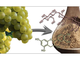The effect of whole grape products on blood pressure and vascular function