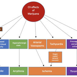 The Impact of Marijuana on the Cardiovascular System: A Review of the Most Common Cardiovascular Events Associated with Marijuana Use