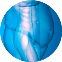 1763b9_9a85e81691704f34b5cae71590c99245_mv2.webp