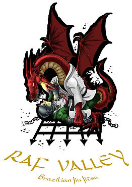 Valley BJJ design white.jpg