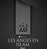 Capture d’écran 2024-01-04 à 16.50.01.png