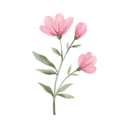 5.png