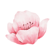 2_edited.png