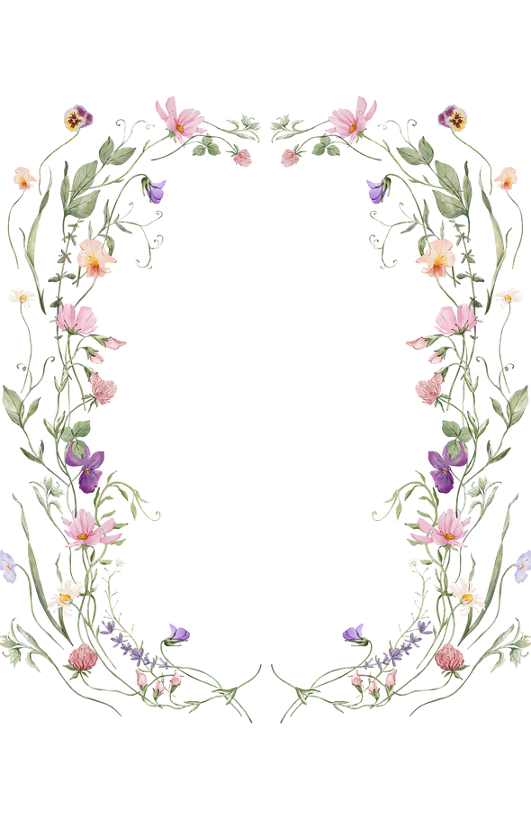 frame.png