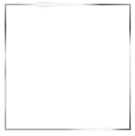 frame_edited.png