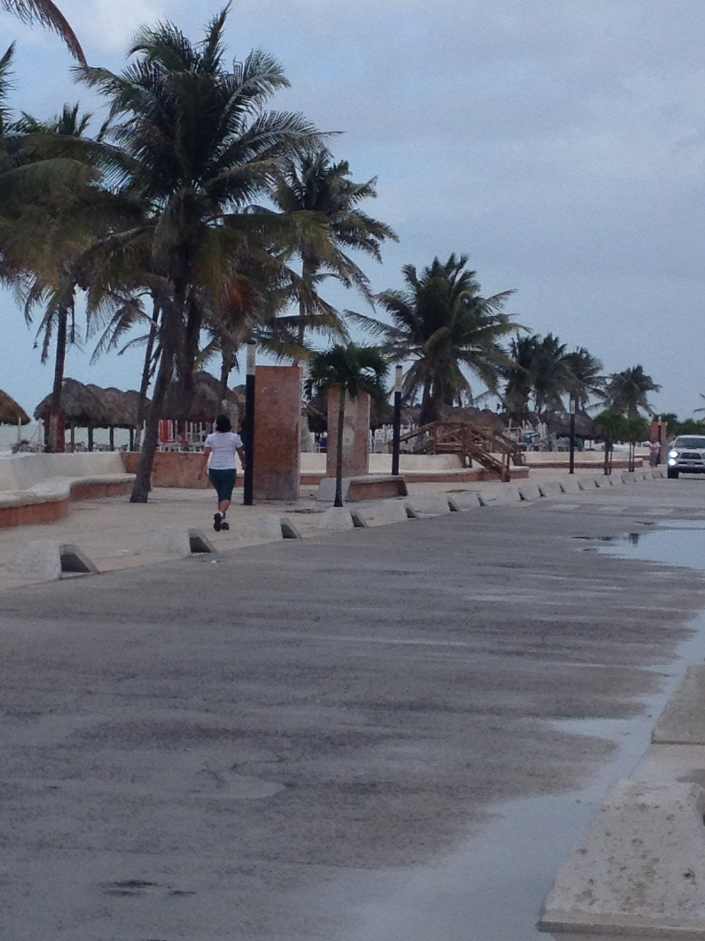 CONOCE xootriprentacar