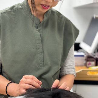 Dr.Xie performing acupuncture at Art City Vets