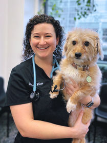 Dr.Jenna Wilson Art City Vets Philadelphia