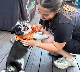 Woman petting a happy dog wearing an orange bandana on wooden floor.