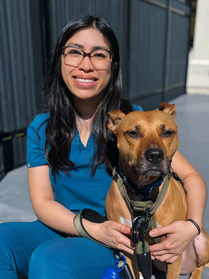 Dr. Vivian Tran Art City Vets Philadelphia