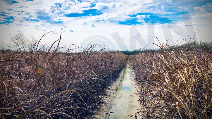 Photo Mar 05, 10 38 15 AM.jpg