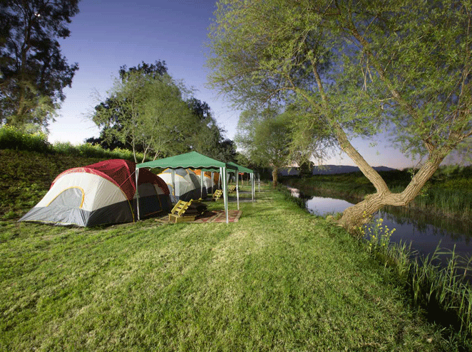 קמפינג בצפון