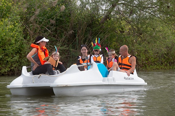 Image-9208039-256055290-2-WebSmall_0_bfd