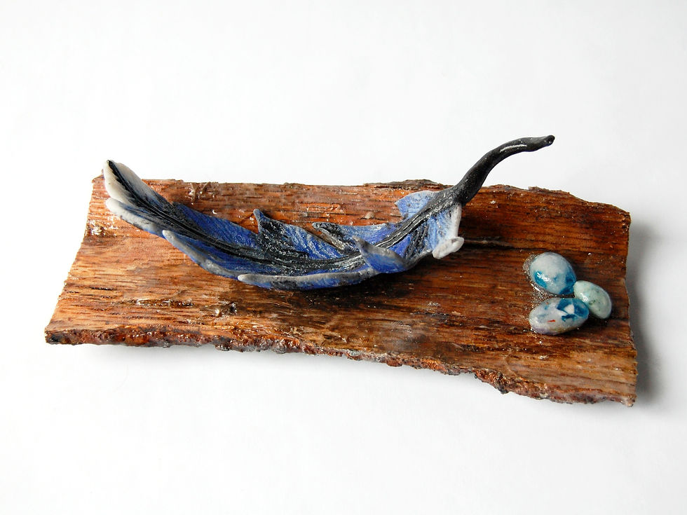 Thumbnail: Blue feather and eggs
