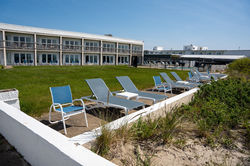 Surf and Sand Hotel Lawn Chairs