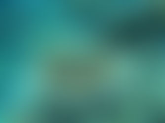 제종길의 끝장난 바다 | ② 기후위기에 취약한 우리 바다