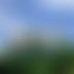 배이슬의 기후월령가 | 벼 크는 소리에 놀라 개 짖는, 입추