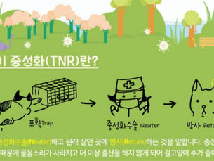 [사설] 도시동물, 공존의 잣대