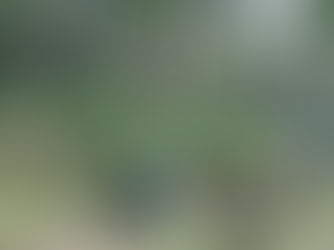김현권의 농업 이야기 | ③ 왜, 산림경영인가?