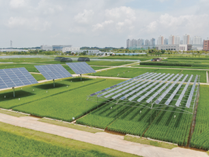 햇빛소득마을 본격 시작, 농식품부 사업설명회 개최