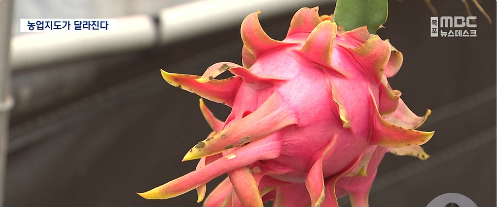 전라남도 농업지도가 달라진다.jpg