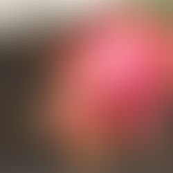 [오픈넷03] 목포MBC | 기후가 바꾼 농업, 섬에서 시작된 전환 ②