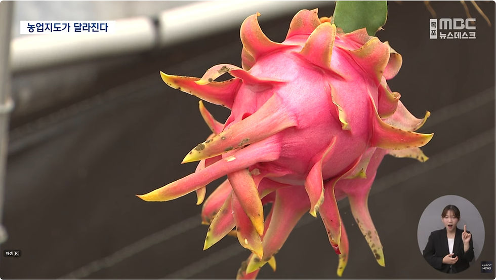 전라남도 농업지도가 달라진다.jpg