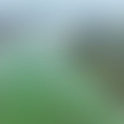 낙동강녹조 정수근 사진 4대강 재자연화