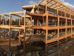 박정희의 산주변론(山主辯論) ⑦ | 국내산 목재시장 붕괴 막을 마지막 기회