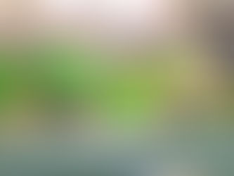 [오픈넷03] 목포MBC | 사라지는 황금어장…위판장에는 ‘한숨’