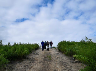 김우성의 생태포럼 | 산불이 만드는 숲(하)