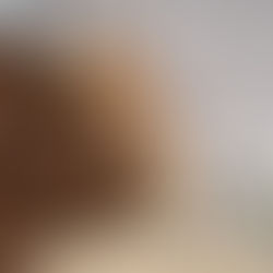 연재 | 김우성칼럼 다짜고짜 기후 | 치킨과 한우 사이