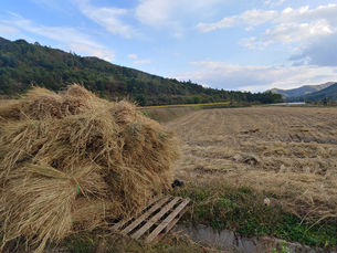 배이슬의 기후월령가 | 겨울의 시작, 입동